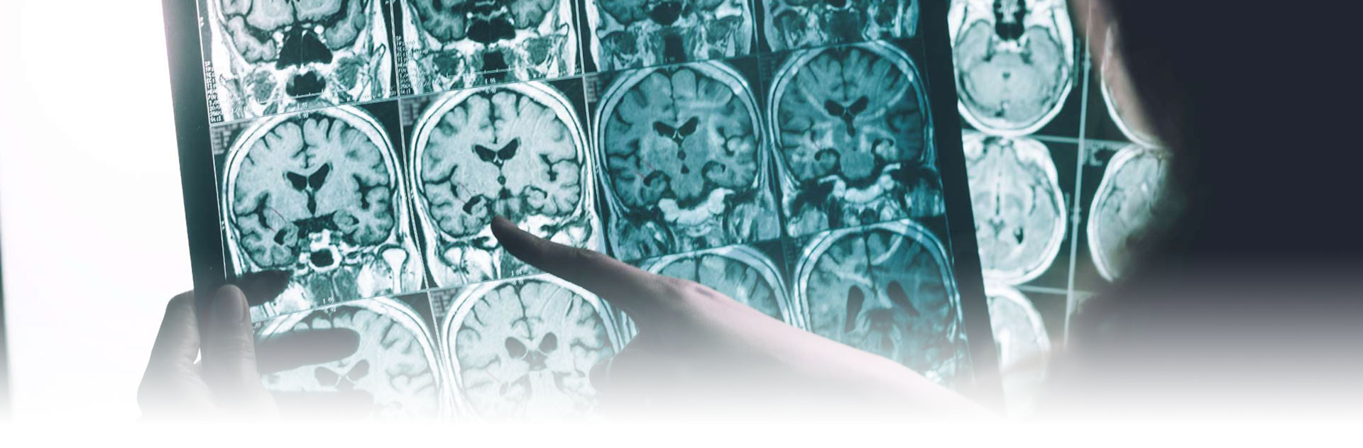 publication & presentations